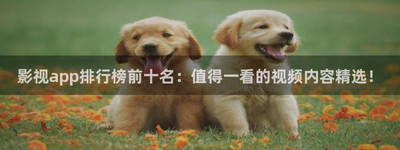 桔子影视怎么下载