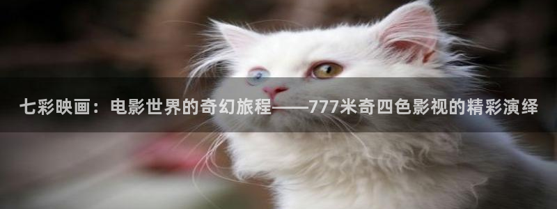 桔子电影在线播放