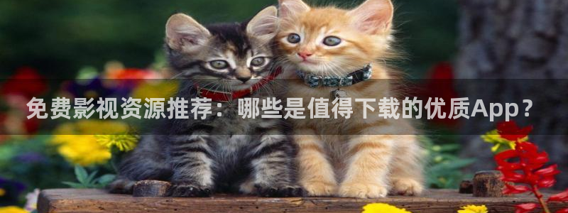 桔子动画搞笑视频：免费影视资源推荐：哪些是值得下载的优质App？