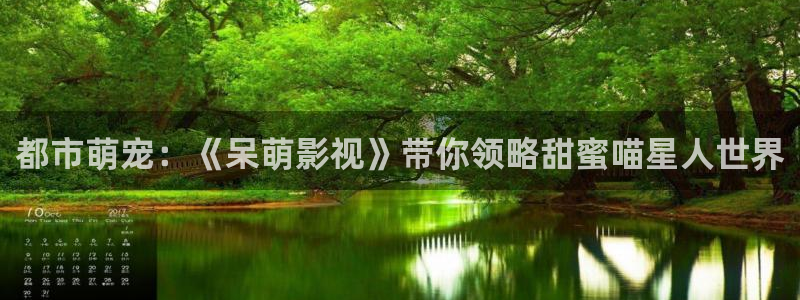tv桔子：都市萌宠：《呆萌影视》带你领略甜蜜喵星人世界