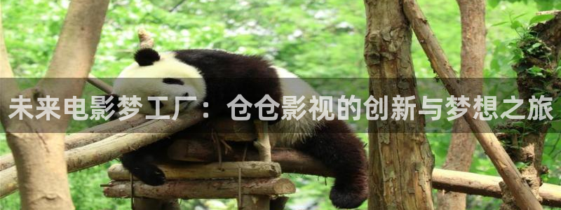 桔子影视