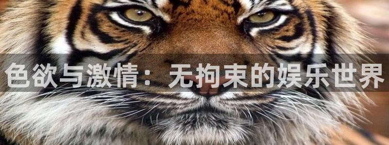 橘子与桔子：色欲与激情：无拘束的娱乐世界