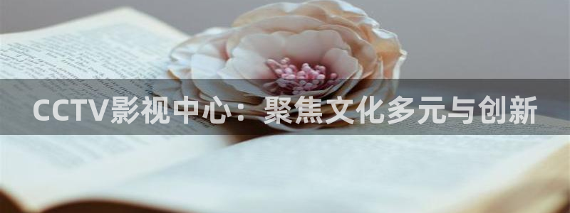 桔子的营养：CCTV影视中心：聚焦文化多元与创新