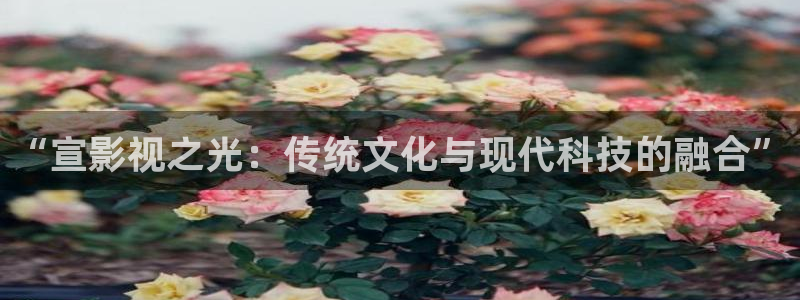 桔子的天空电影播放：“宣影视之光：传统文化与现代科技的融合”